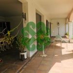 Casa - Jardim Leonor - código 1270 - foto 6