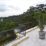 Casa - Paineiras do Morumbi - código 1387 - foto 6