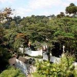 Casa - Jardim Morumbi - código 1432 - foto 6