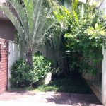 Casa - Paineiras do Morumbi - código 2051 - foto 11