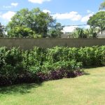 Casa - Jardim Leonor - código 2066 - foto 18