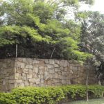 Casa - Paineiras do Morumbi - código 2081 - foto 24