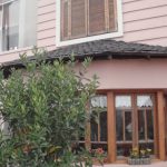 Casa - Paineiras do Morumbi - código 2081 - foto 27