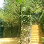 Casa - Jardim Morumbi - código 2109 - foto 42