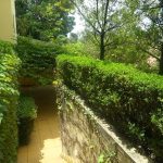 Casa - Jardim Morumbi - código 2110 - foto 36