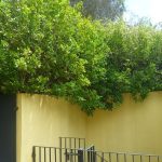 Casa - Jardim Morumbi - código 2110 - foto 47