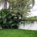 Casa - Jardim Leonor - código 2160 - foto 17