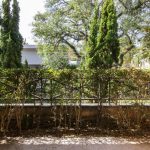 Casa - Jardim Leonor - código 2161 - foto 6