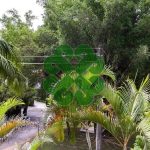 Casa - Jardim Leonor - código 2296 - foto 12
