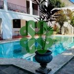 Casa - Jardim Guedala - código 2325 - foto 1