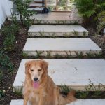 Casa - Jardim Leonor - código 970 - foto 17