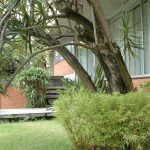 Casa - Cidade Jardim - código 995 - foto 3